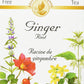 Celebration Herbals Ginger Root Tea Organic 24 Bag, 0.02 Pound