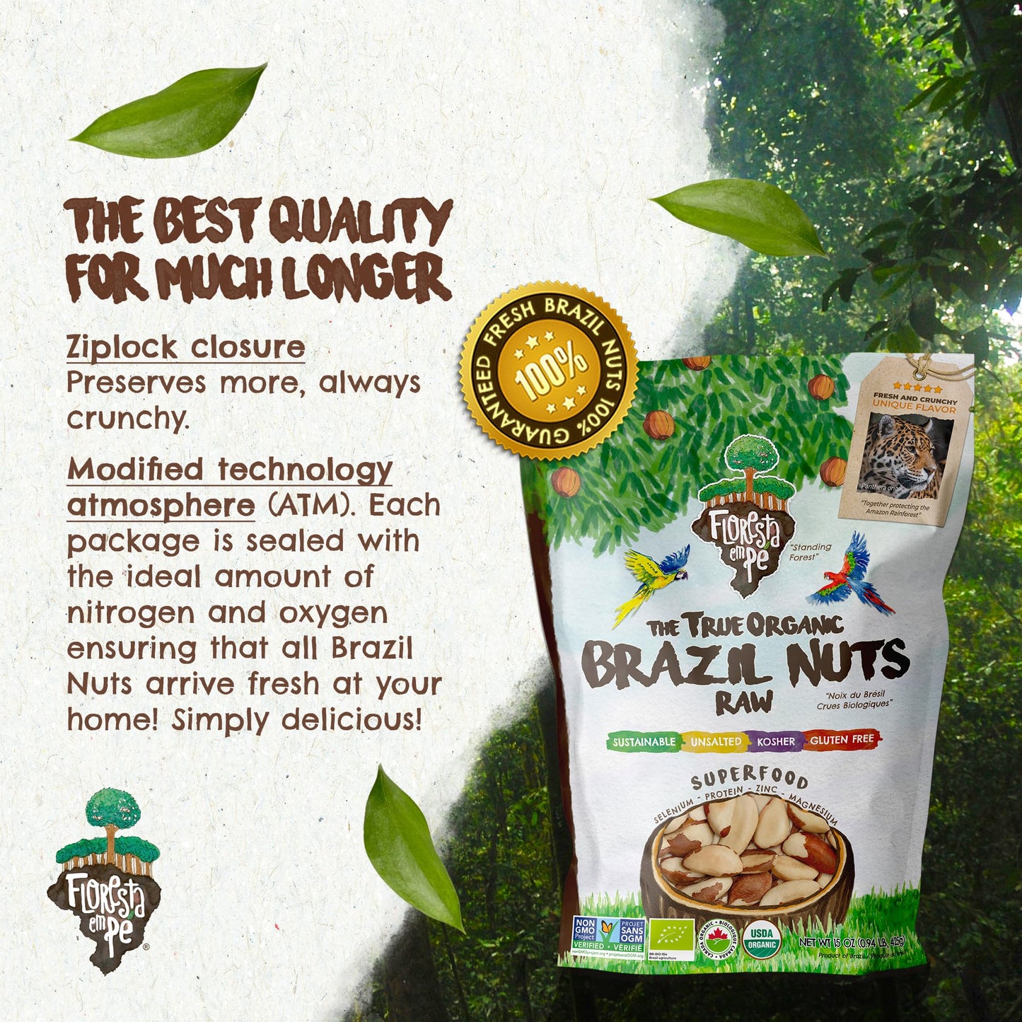Snack The True Organic Brazil Nuts 15 Oz – Raw And Unsalted – Kosher – Healthy-Rich In Vegetable Protein – Harvested In Large Online Retailer Rainforest – Fresh, Vegan And Gluten Free – Forest Up