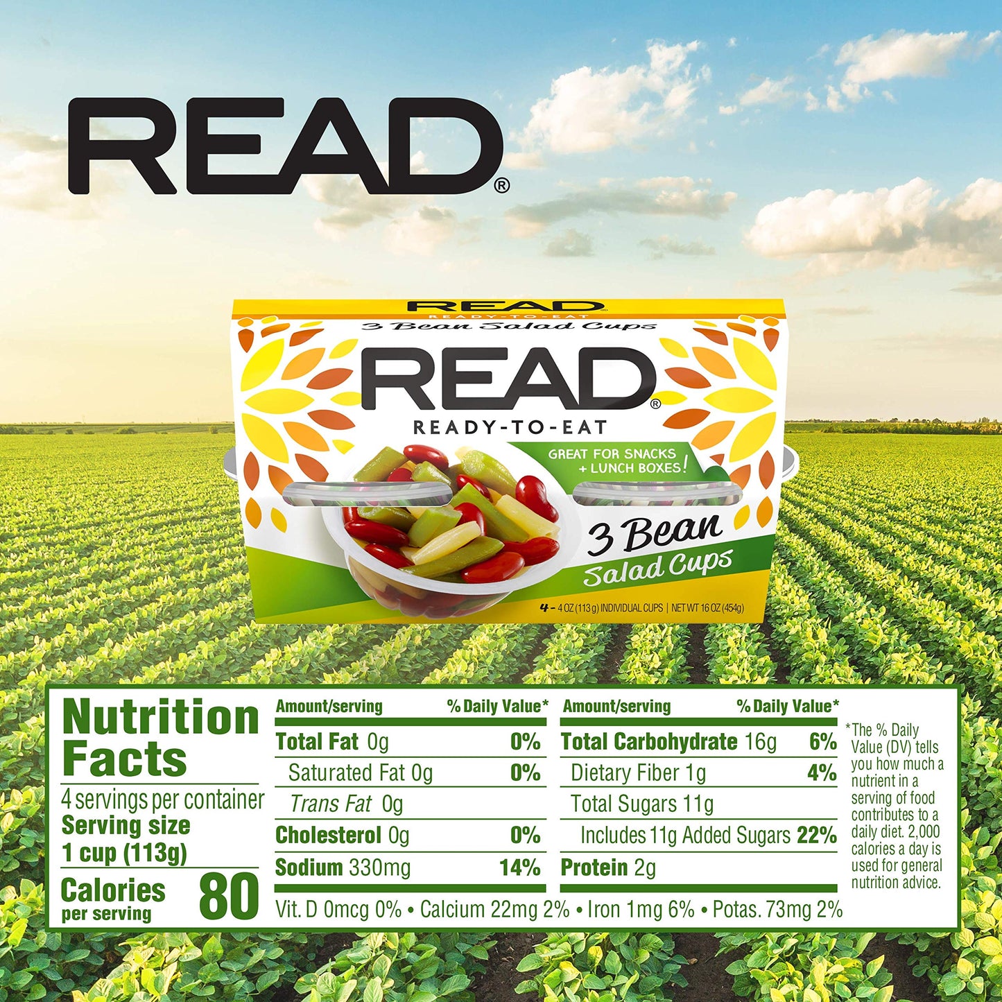 READ Three Bean Salad - Classic, Tangy & Sweet, 4 Ounce Cups, Pack of 24