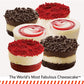 Juniors Cheesecake Little Fellas Mini Cheesecake Sampler - Red Velvet (18 Mini Cakes)