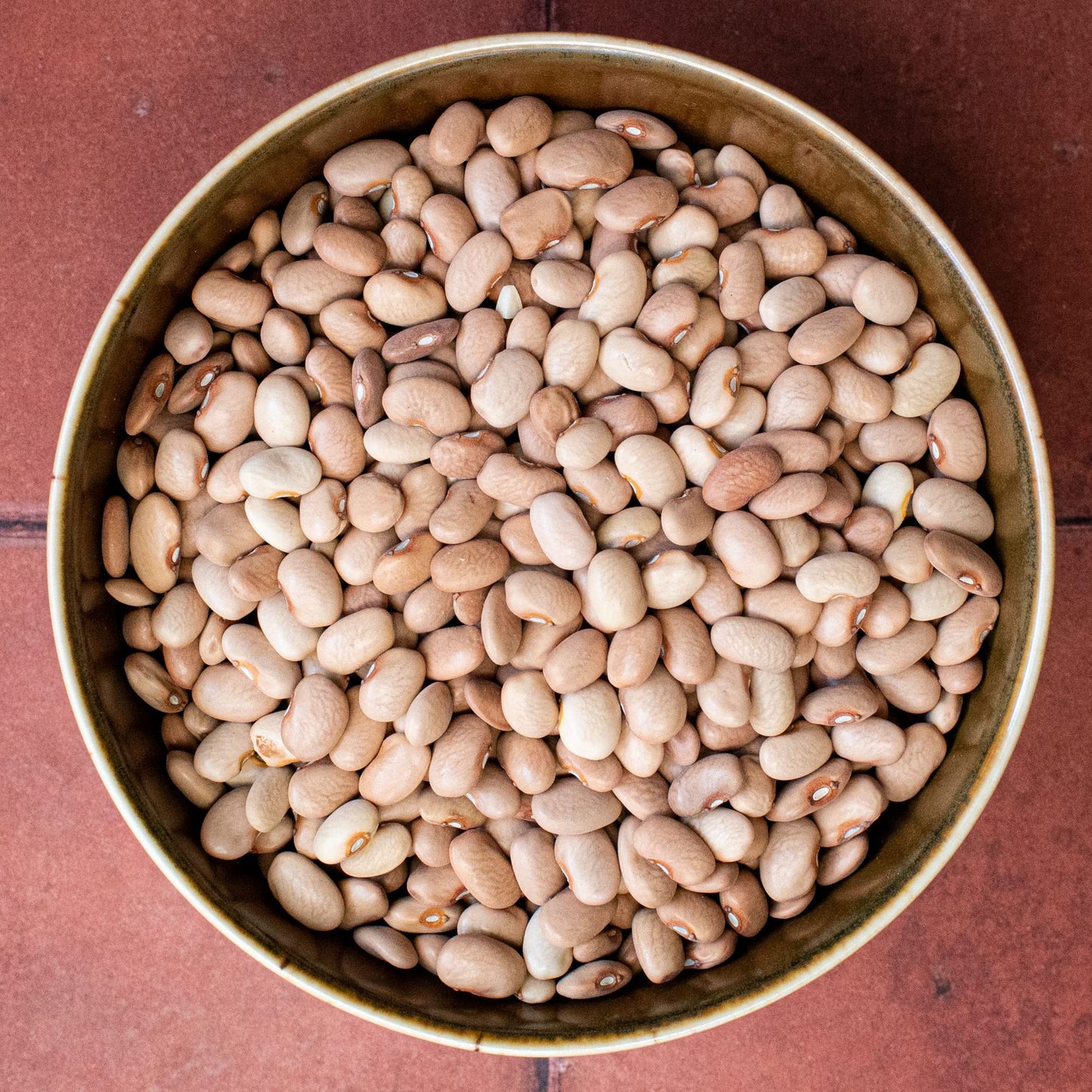 Primary Beans - Heirloom Organic Bayo Dried Beans - Bacon-Y, Creamy - Alternative To Pinto - Pair W/Avocado & Fresh Corn Tortill