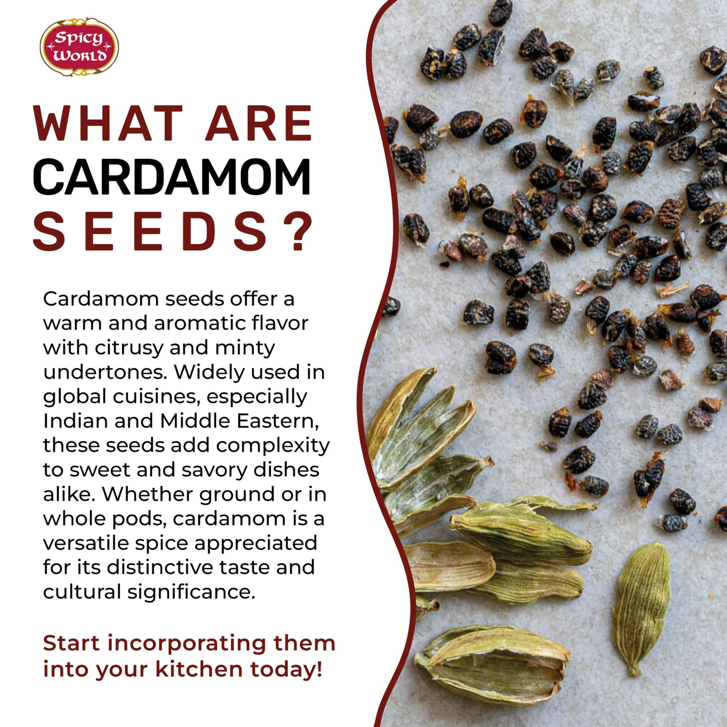 Spicy World Cardamom Seeds Decorticated 3.5 Ounce Bag - Natural, Vegan - No Pods, Also known as Elaichi Seed