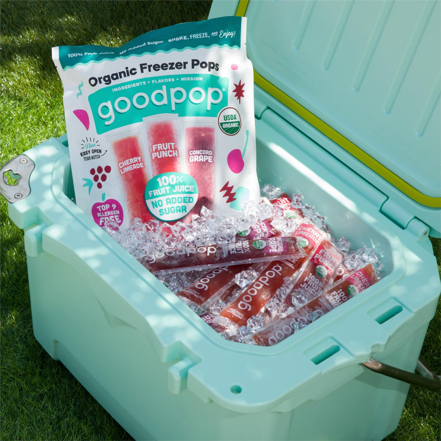 Goodpop Organic Freezer Pops - Cherry Limeaide, Fruit Punch, Grape, 100% Juice, No Added Sugar - 20Ct, Box