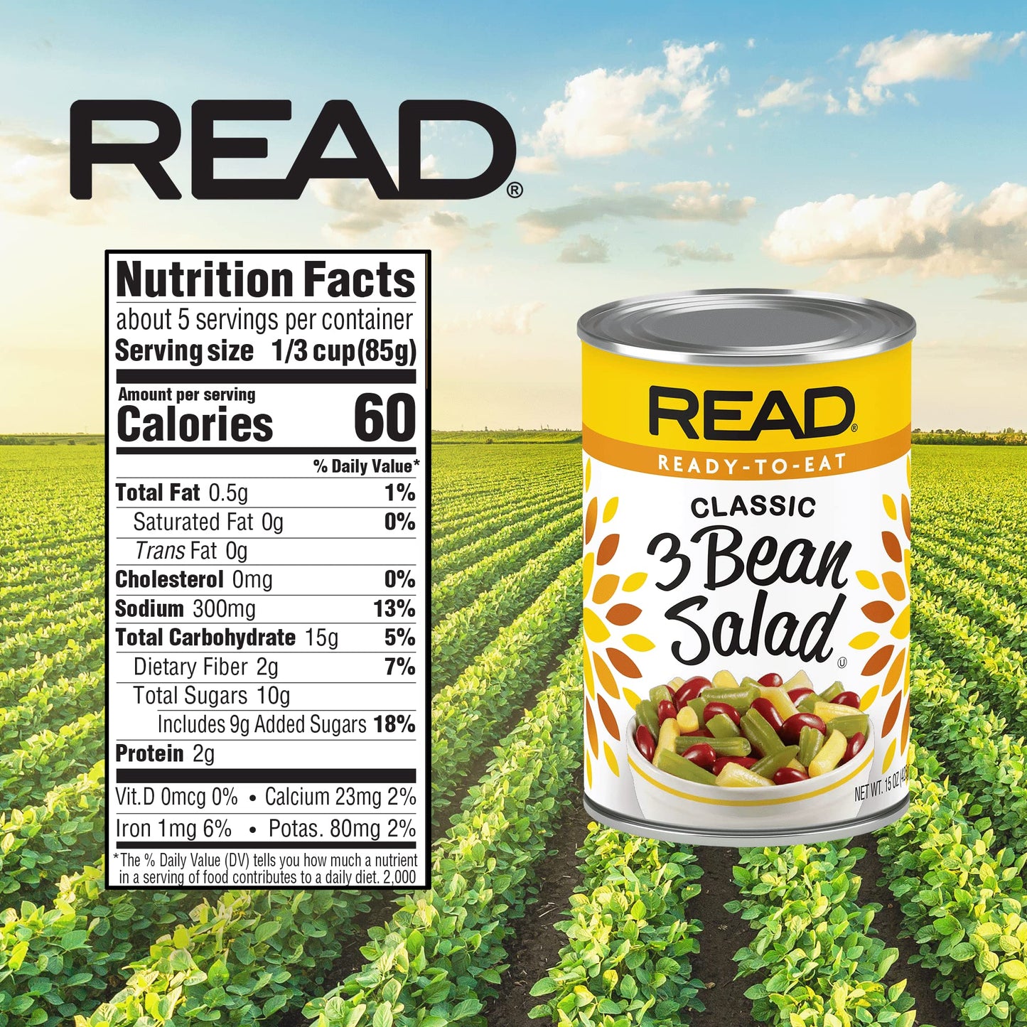Read 3 Bean Salad | Classic Three Bean Salad | Tangy Sweet & Delicious | Cut Green Beans | Cut Wax Beans | Kidney Beans | Sugar,
