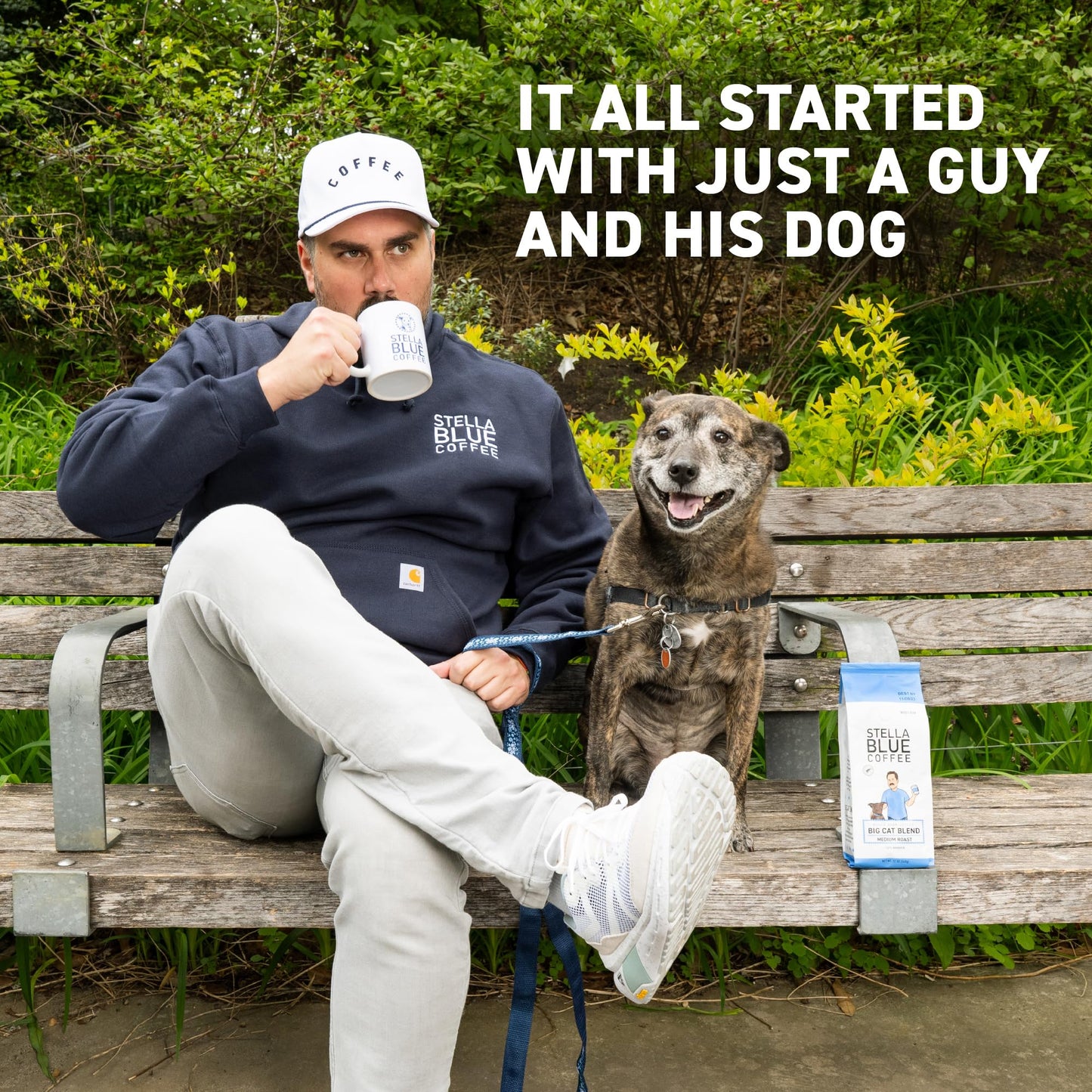 Stella Blue Cold Brew Coffee Bags  Blueberry Muffin  Medium Roast Ground Coffee  Smooth  Bold and Refreshing 100% Arabica  6 Brew Packets  Makes 24 Cups  Rainforest Alliance Certified
