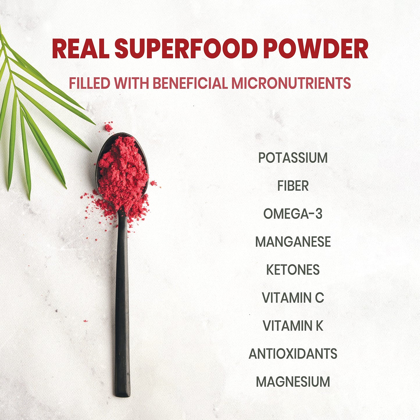 Jungle Powders Organic Raspberry Powder 5 Ounce Bag, USDA Organic Freeze Dried Raspberries from Whole Berry for Baking, Additive