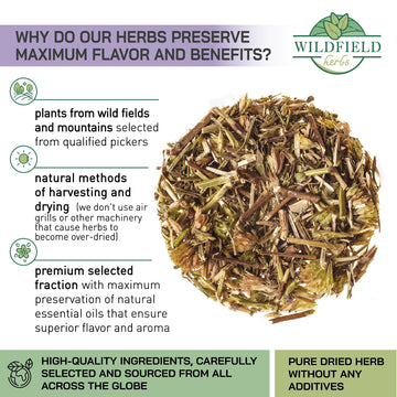 24 Bags Hyssop Dried Herb Hyssop Tea Herbal (Hyss  Pus Officin  Lis) - 24 Count 2G Tea Bag Herb Hyssops Hissop Hysopp Hisopo