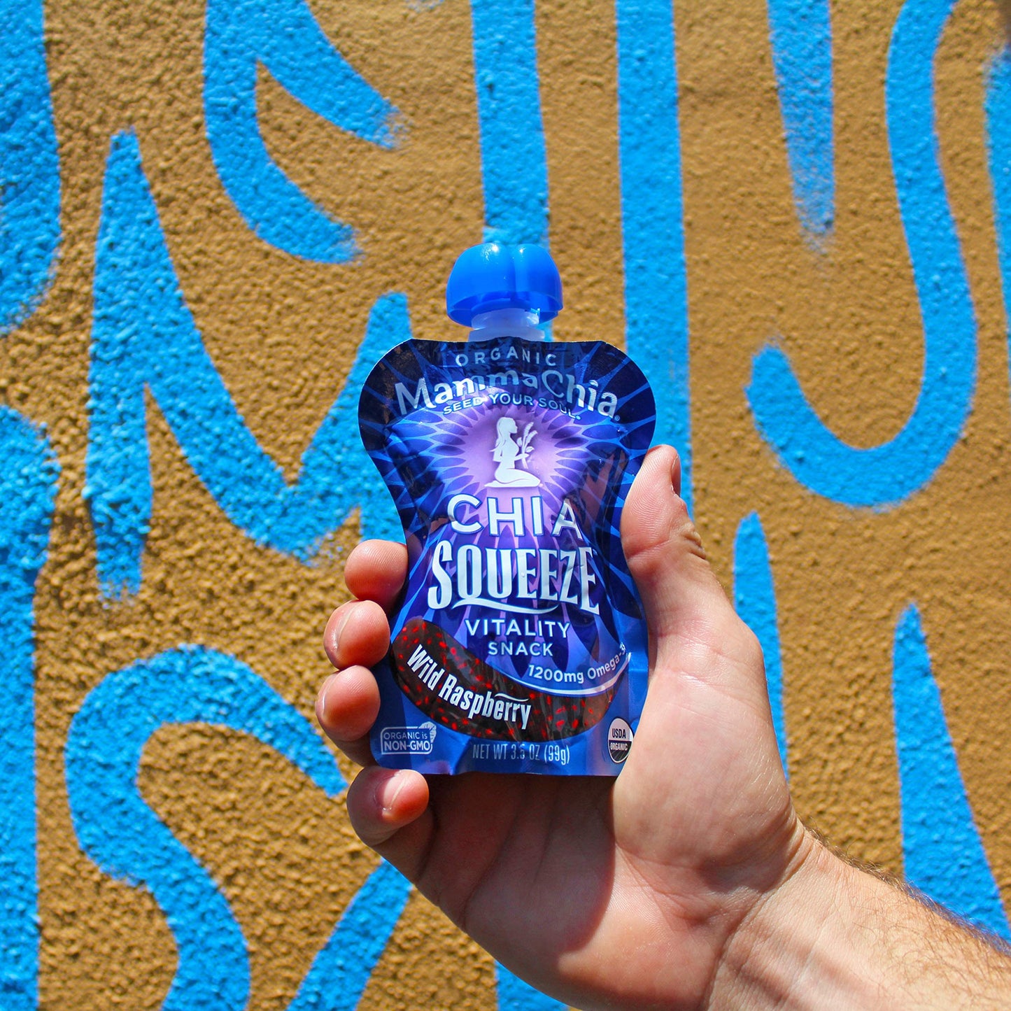 Mammachia Chia Squeeze Wild Raspberry Vitality Snack, Vegan Friendly, Kosher, USDA Certified Organic, Gluten Free & Non-GMO, 3.5