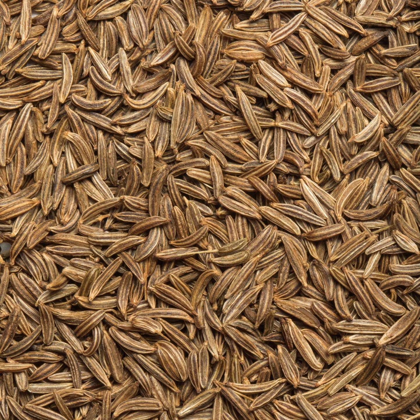 McCormick Gourmet Organic Caraway Seed, 1.62 Oz (Pack of 2)