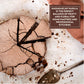 Beyond Good spirit-inspired flavor Vanilla Pure Vanilla Extract, 8 Fl Oz, Pack of 1