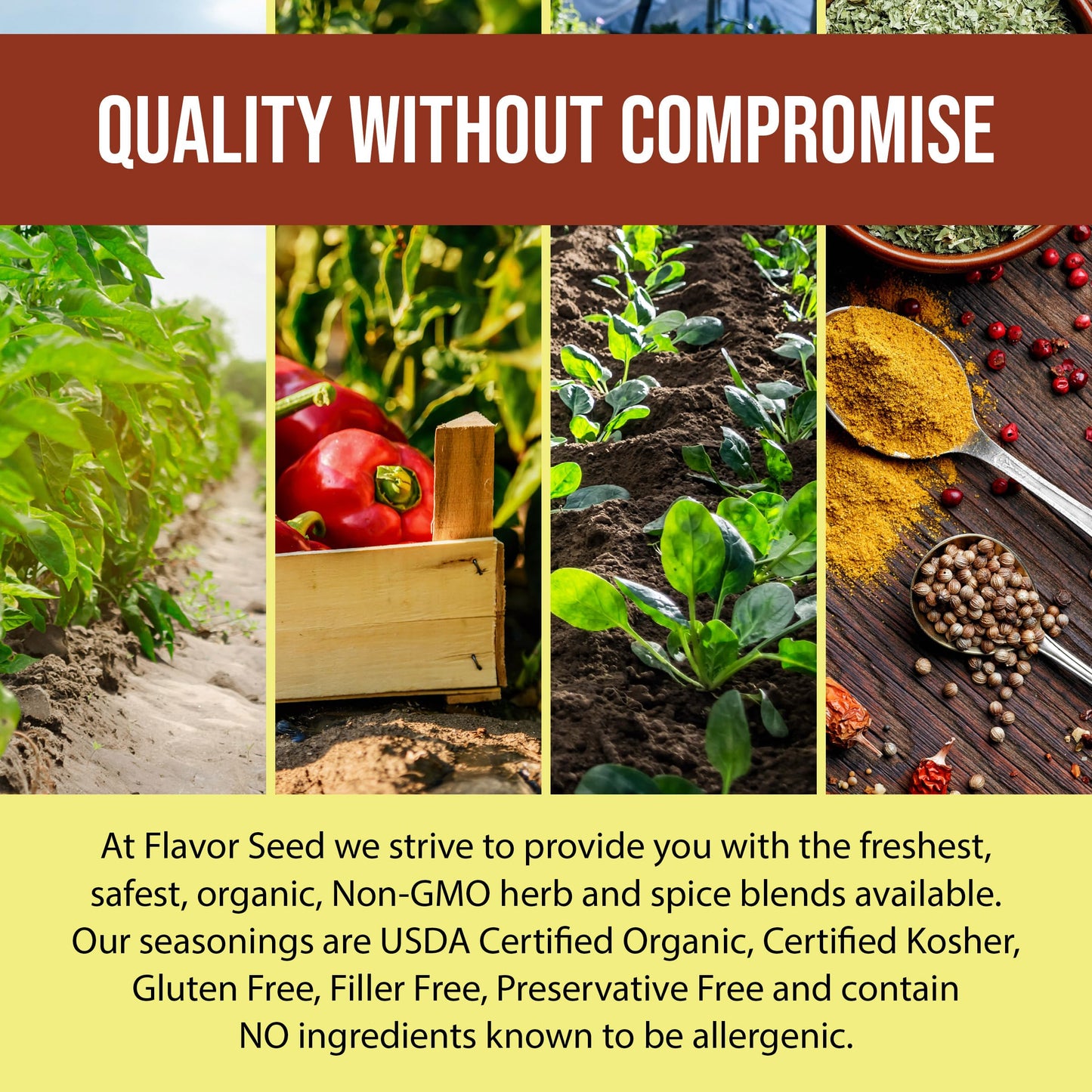 Flavor Seed Organic Poultry Seasoning, Anything With Wings, Carnivore & Keto Friendly Gourmet Dry Rub For Chicken Wings, Turkey,