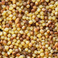 Sanniti Toasted Fregola Sarda FIne Semolina Pasta Fregula Tostata Fina, 17.6 oz (Pack of 2)