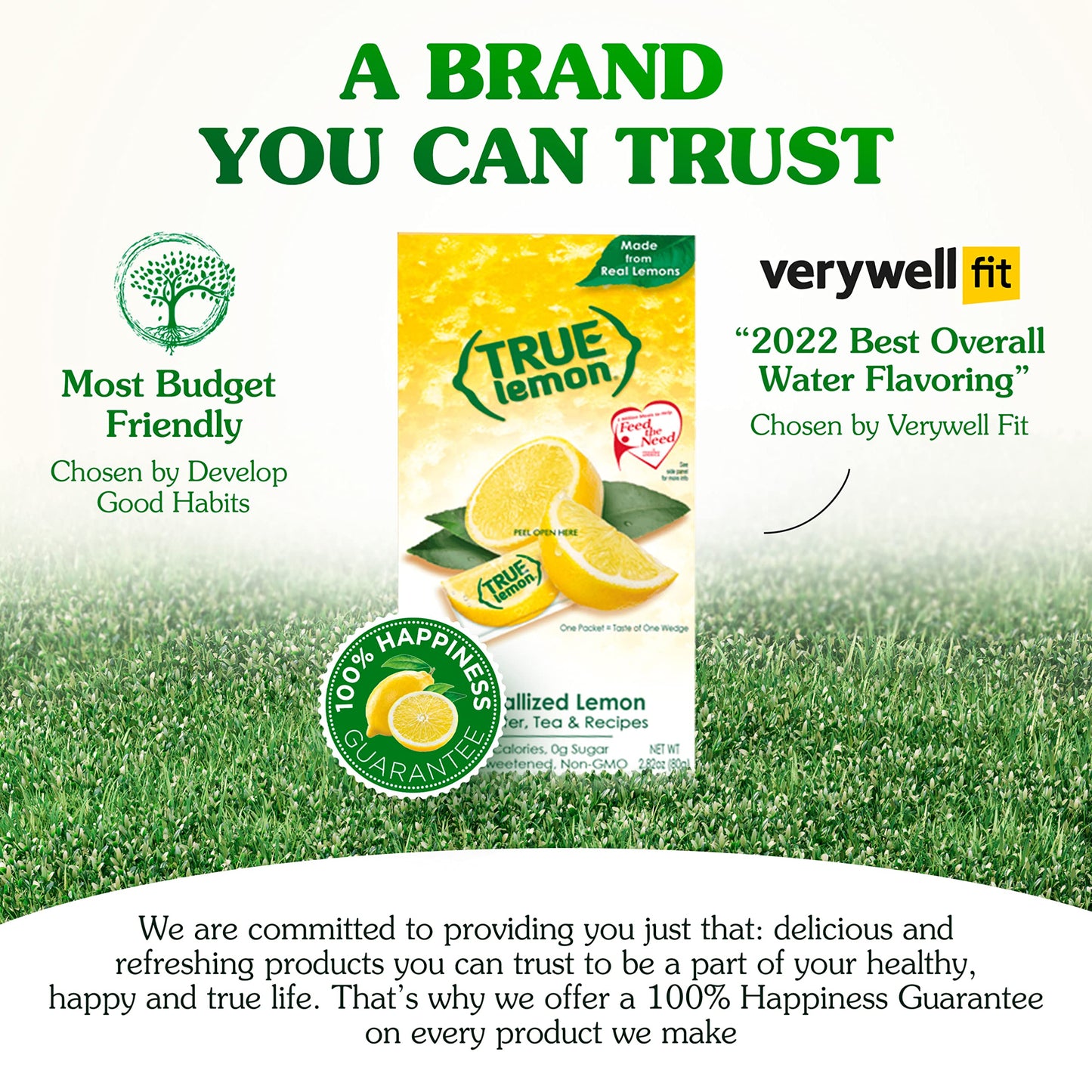 True Lemon Water Enhancer, Bulk Dispenser, 100 Count (Pack Of 1), 0 Calorie Drink Mix Packets For Water, Sugar Free Lemon Flavoring Powder Packets