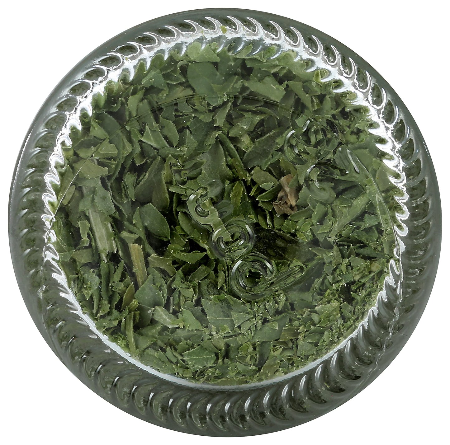Green Garden Freeze-Dried Organic Parsley - Freeze-Dried Parsley Fresh, Parsley Organic, Dried Fresh Parsley, Parsley Flakes, Gl