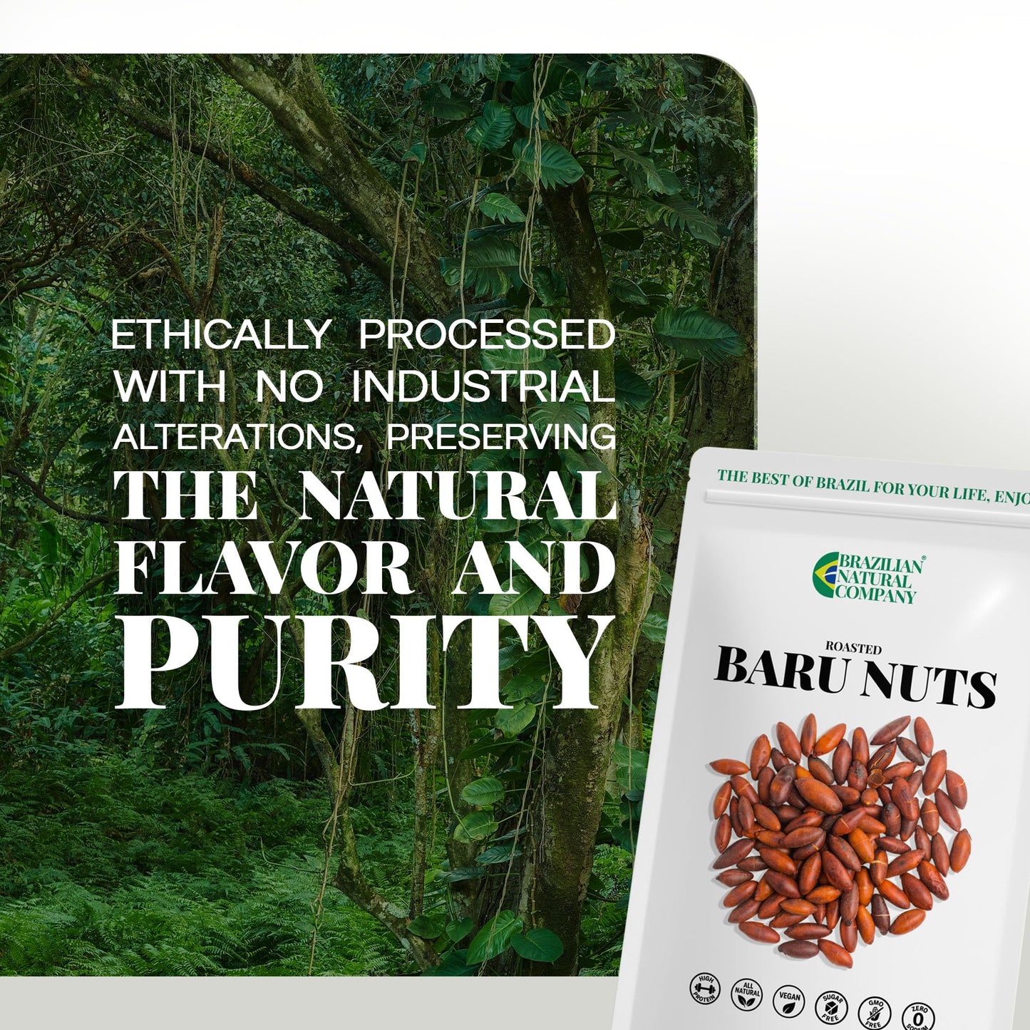 Baru Nuts 10 oz, Stand Up Pouch - 25g of Protein per 100g, Rich in Vitamins and Minerals - Natural Source of Energy and Well-Bei