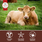 Aufschnitt Grass Fed Beef Jerky - Low Sodium, Certified Kosher - Made In Usa - Keto & Halal Friendly - 12 Pack, Sweet Chipotle