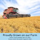 Palouse Brand Small Brown Dry Lentils | 18 lbs | Certified Glyphosate Residue Free | Non-GMO | Kosher | Family Farmed in Washington State