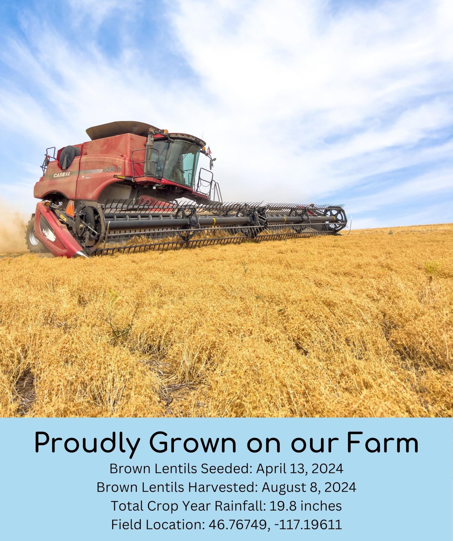 Palouse Brand Small Brown Dry Lentils | 18 lbs | Certified Glyphosate Residue Free | Non-GMO | Kosher | Family Farmed in Washington State