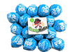 Tootsie Pops 60 Count With Refrigerator Magnet (Blue Raspberry)