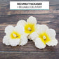 Global Sugar Art Hibiscus Sugar Cake Flowers, White with Yellow, Large 3 Count
