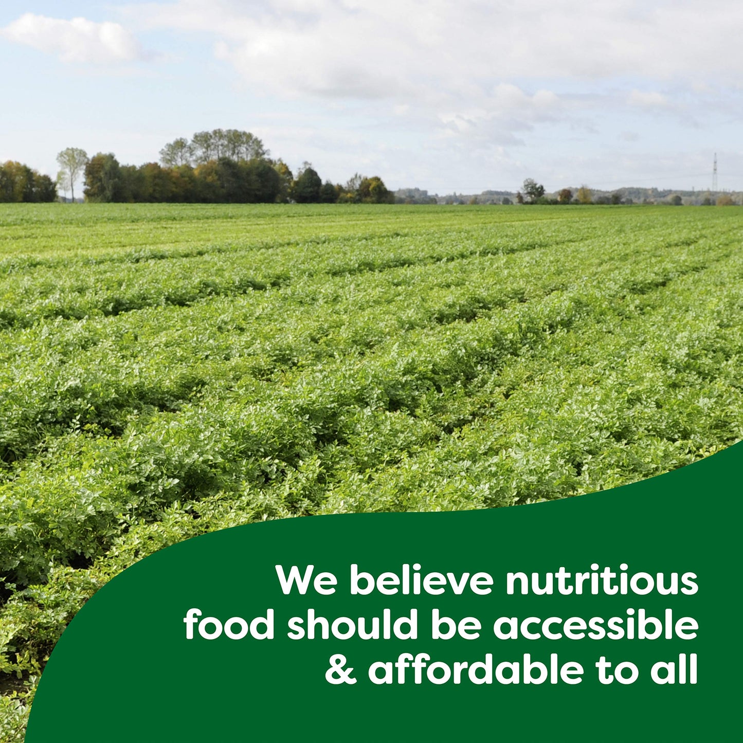 Knorr Concentrated Chicken Stock Gluten Free, 8.45 fl oz, No Artificial Flavors or Preservatives