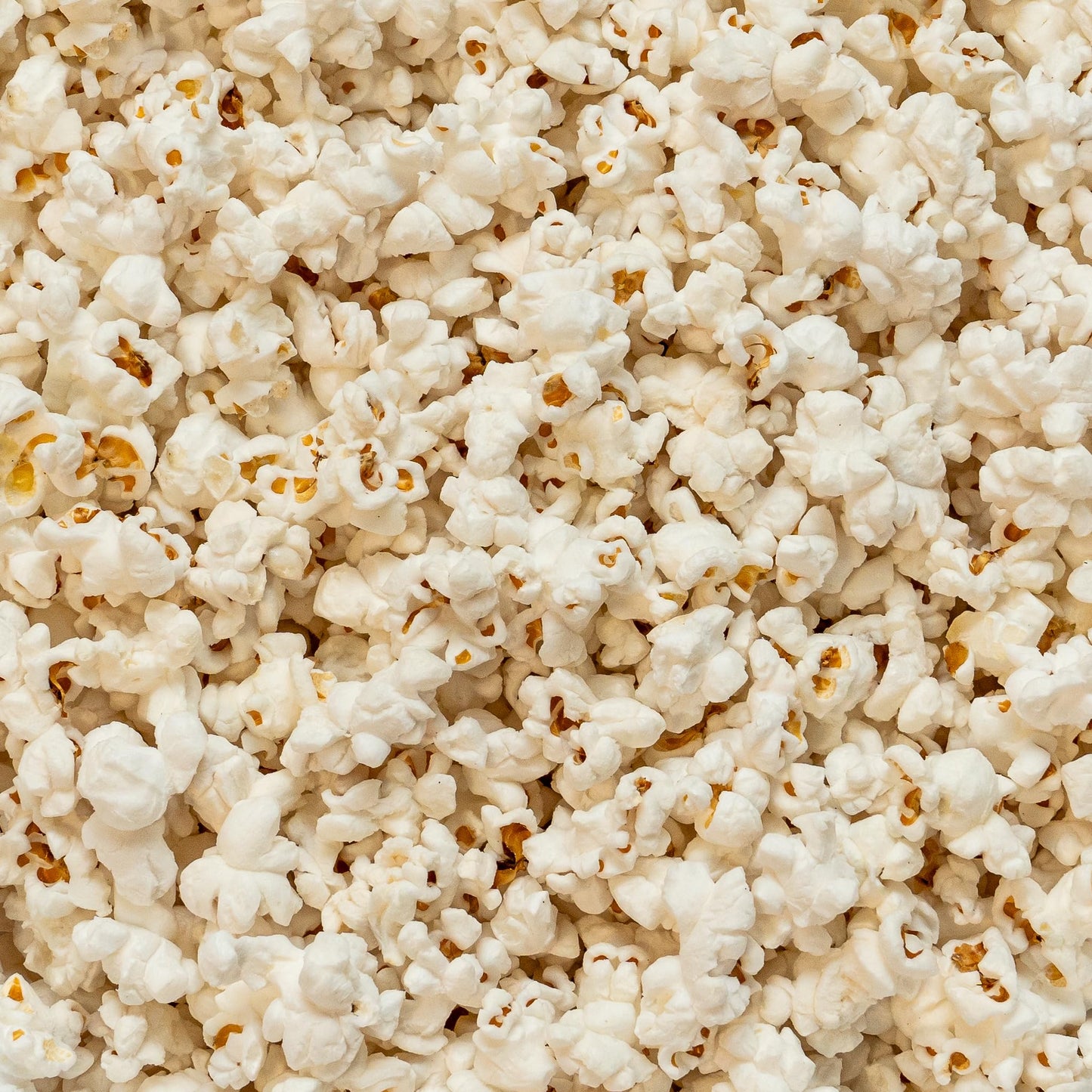 Colby Ridge Gourmet Gluten Free Popcorn Bulk Party Bags, 5 Gal (80 Cups), 23 Ounce, Fluffy White