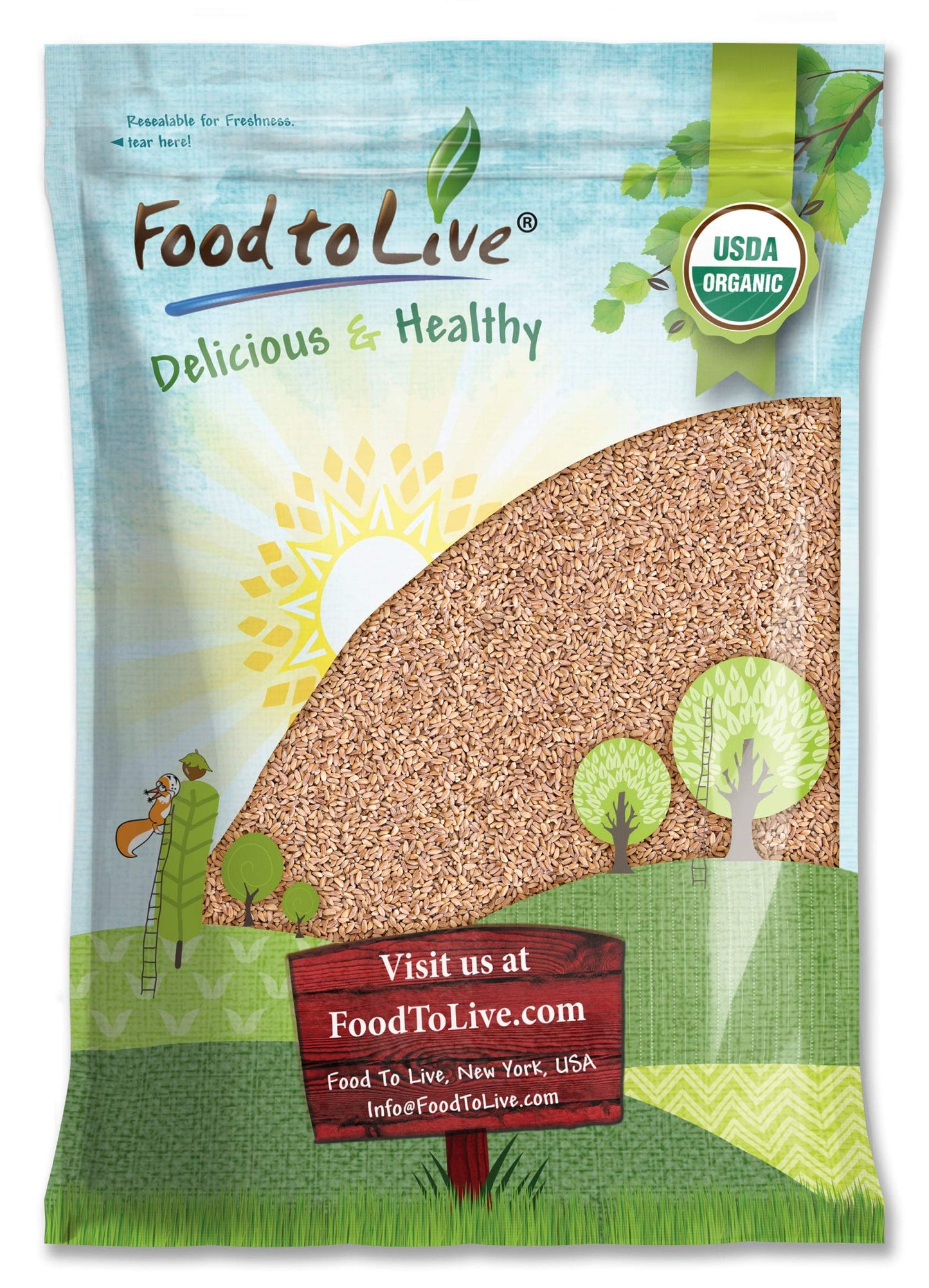 Food to Live Organic Italian Pearled Farro, 5 Pounds - Non-GMO, Kosher, Vegan, Whole Farro Grain in Bulk, Good Source of Fiber a