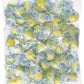 Ferrara Pan Candy Company Individually Wrapped Lemonheads, 1 Lb.
