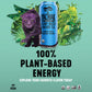 Yachak Yerba Mate, Berry Blue Flavor, 16 Fl Oz, Pack of 12
