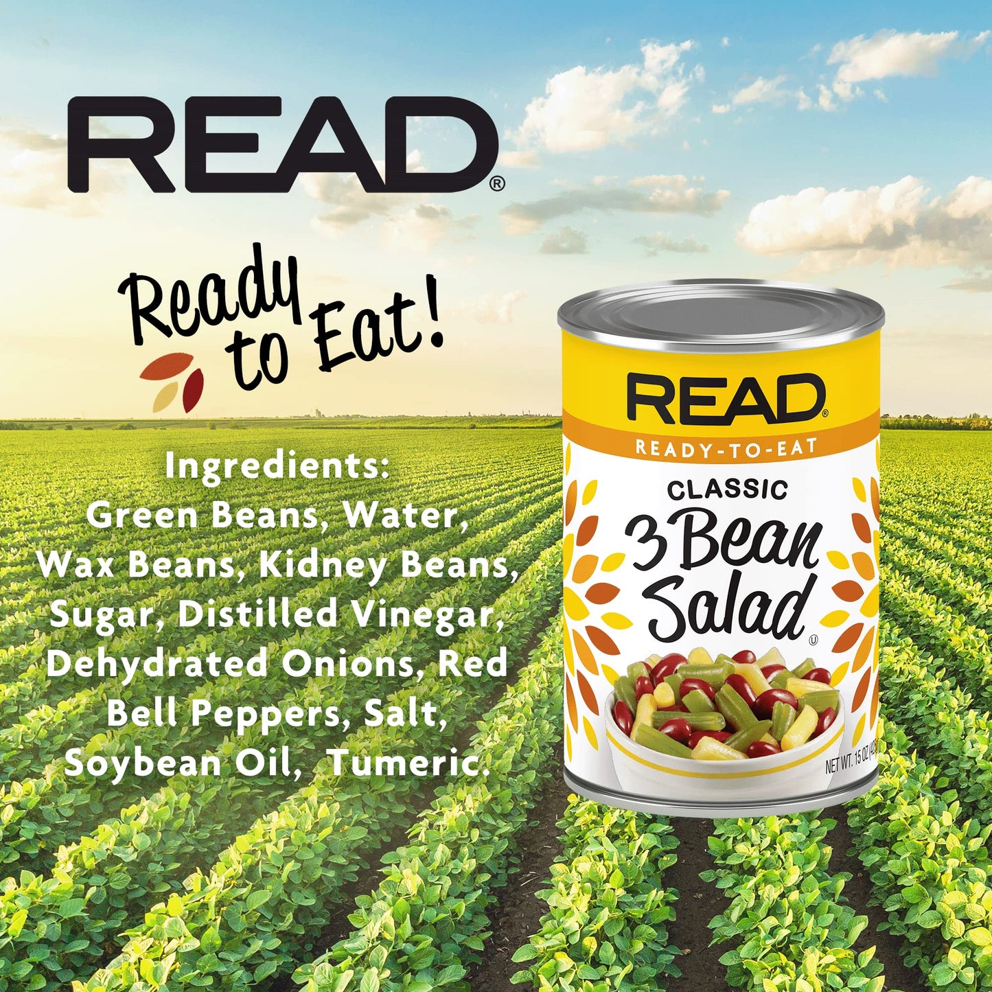 Read 3 Bean Salad | Classic Three Bean Salad | Tangy Sweet & Delicious | Cut Green Beans | Cut Wax Beans | Kidney Beans | Sugar,