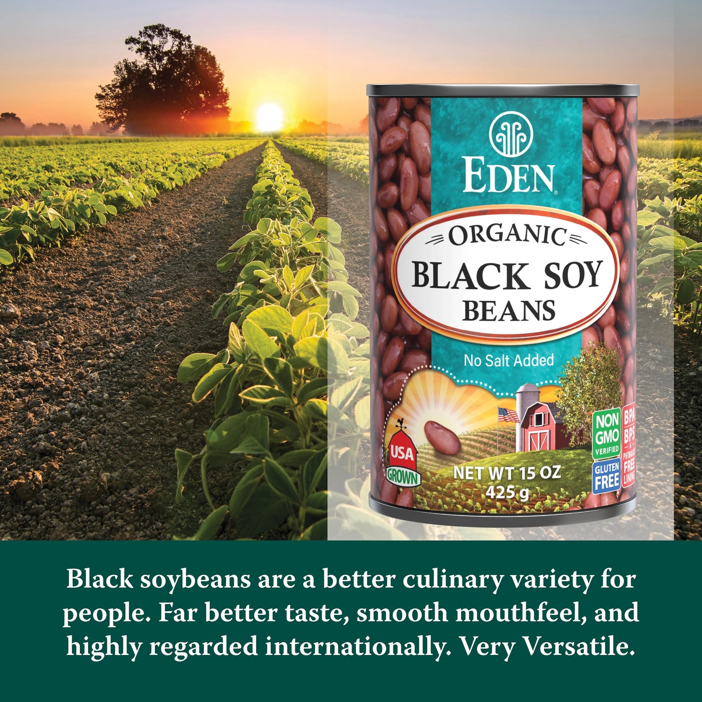 Eden Organic Black Soy Beans, No Salt Added, 15-Ounce Cans (Pack of 12) ( Value Bulk Multi-pack)