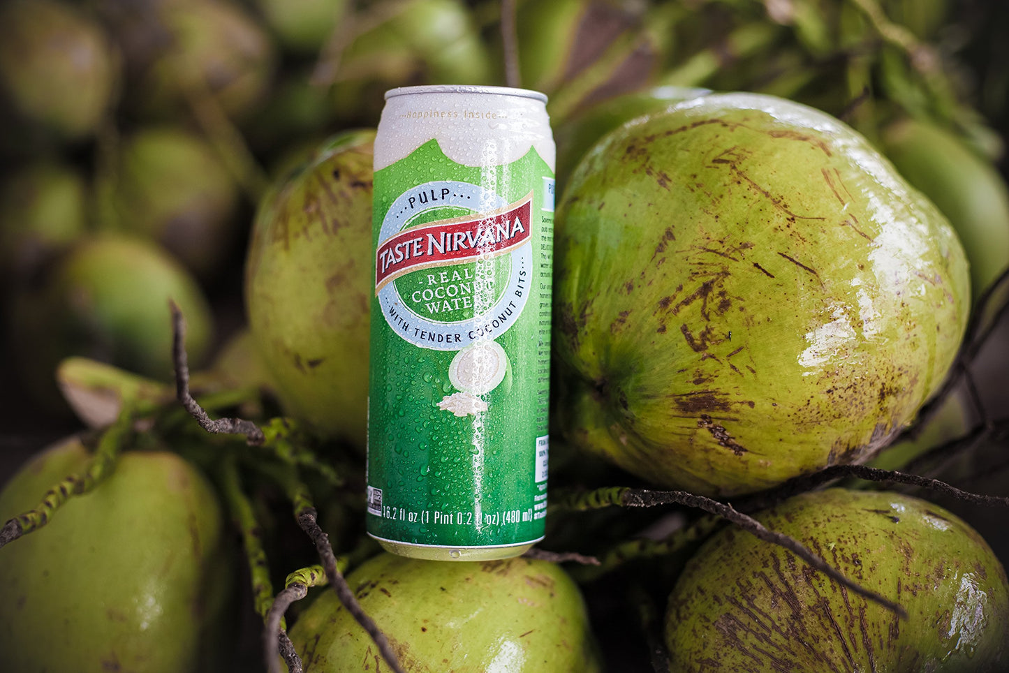 Taste Nirvana Coconut Water with Tender Coconut Bits, 16.2 Fl Oz Pack of 12, Refreshing Natural Beverage