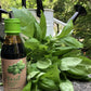 Messino Basil Balsamic Vinegar Glaze, 250 ml, Imported from Greece, 8.45 Fl Oz