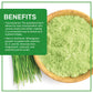 Jiva Organics Wheatgrass Juice Powder - Non-GMO, Vegan, 12 Ounce Bulk Kraft Bag
