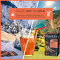 Wissotzky Masala Chai Black Tea (6 Pack - 120 Tea Bags) | Aromatic Chai Tea | Antioxidant Rich | Comforting Tea | Black Tea Bags