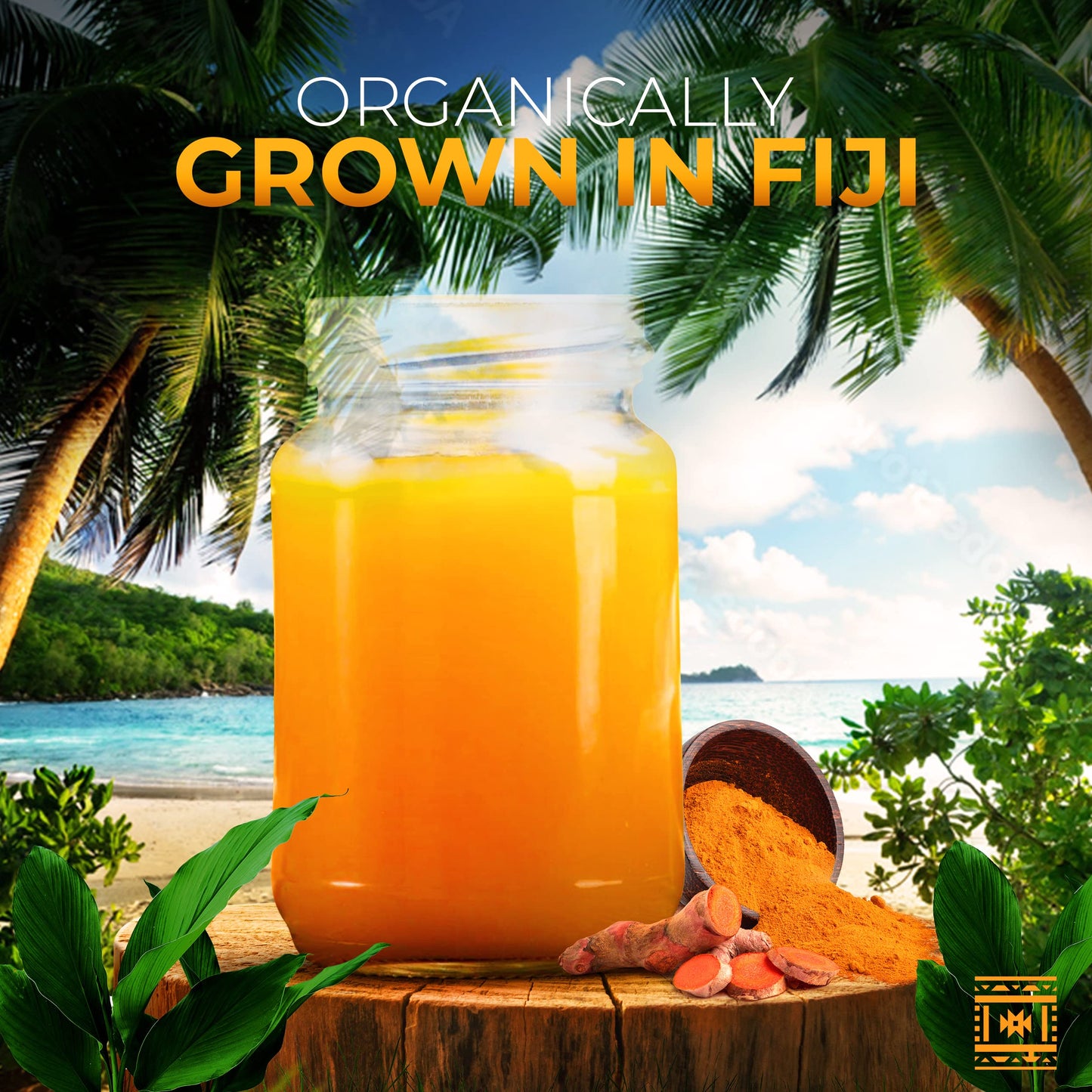 Fresh Organic Turmeric Root - 2 Lb Whole Raw Root by Fijian Spice Company, Premium Quality Spice for Health and Wellness