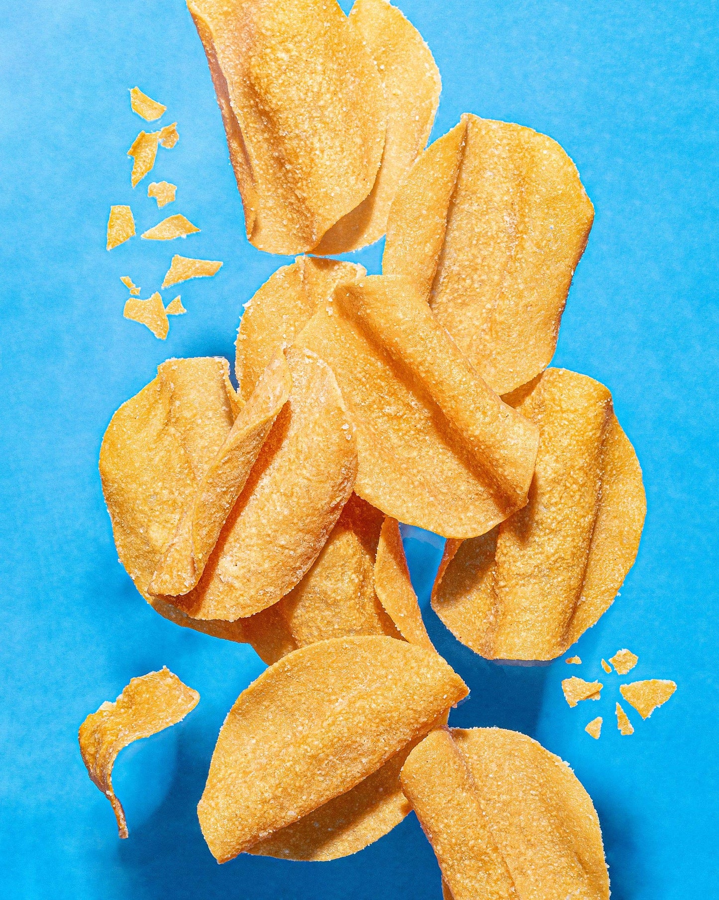 Wilde Sea Salt And Vinegar Protein Chips, Thin And Crispy, High Protein, Keto Friendly, Made With Real Ingredients, 2.25Oz Bags