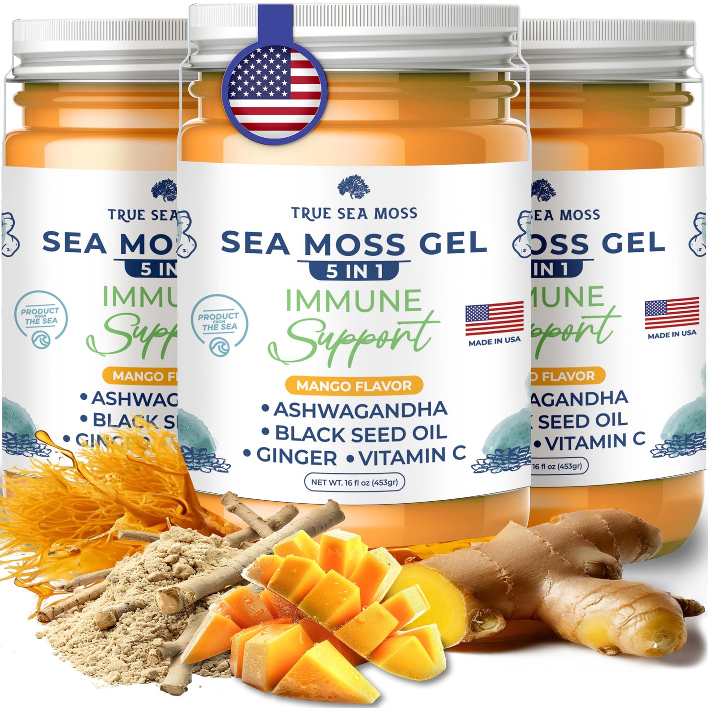 TrueSeaMoss Wildcrafted Irish Sea Moss Gel with Ashwagandha- Made with Organic Seamoss - Vegan-Friendly - Supports Health  Made in USA from Fresh Sea Vegetables (5 in 1  Pack of 3)