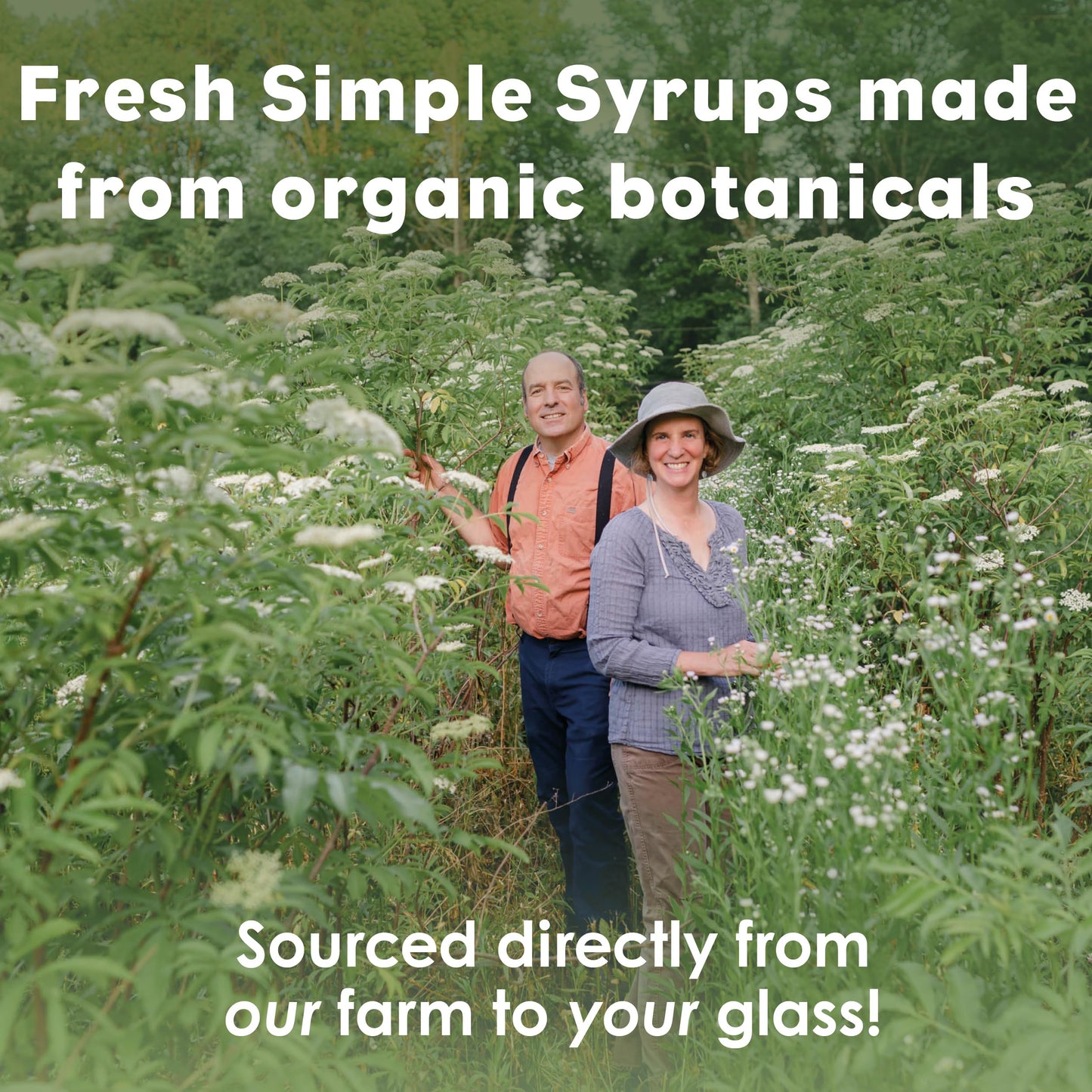 Bluestem Botanicals Organic Thyme Simple Syrup, Non-  ic Cocktail Mixer, 8 oz