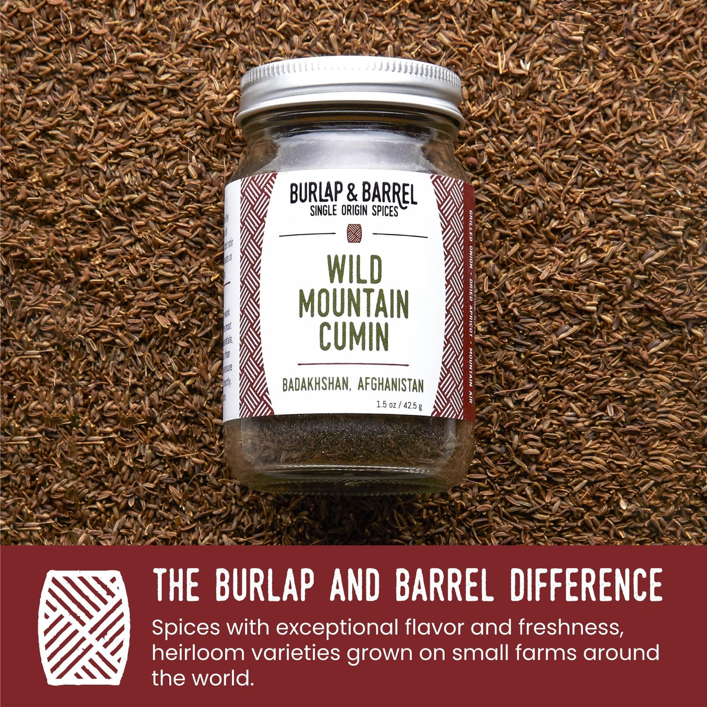 Burlap & Barrel Wild Mountain Cumin - Whole & Ground Cumin Seeds - 1.6oz Glass Jar