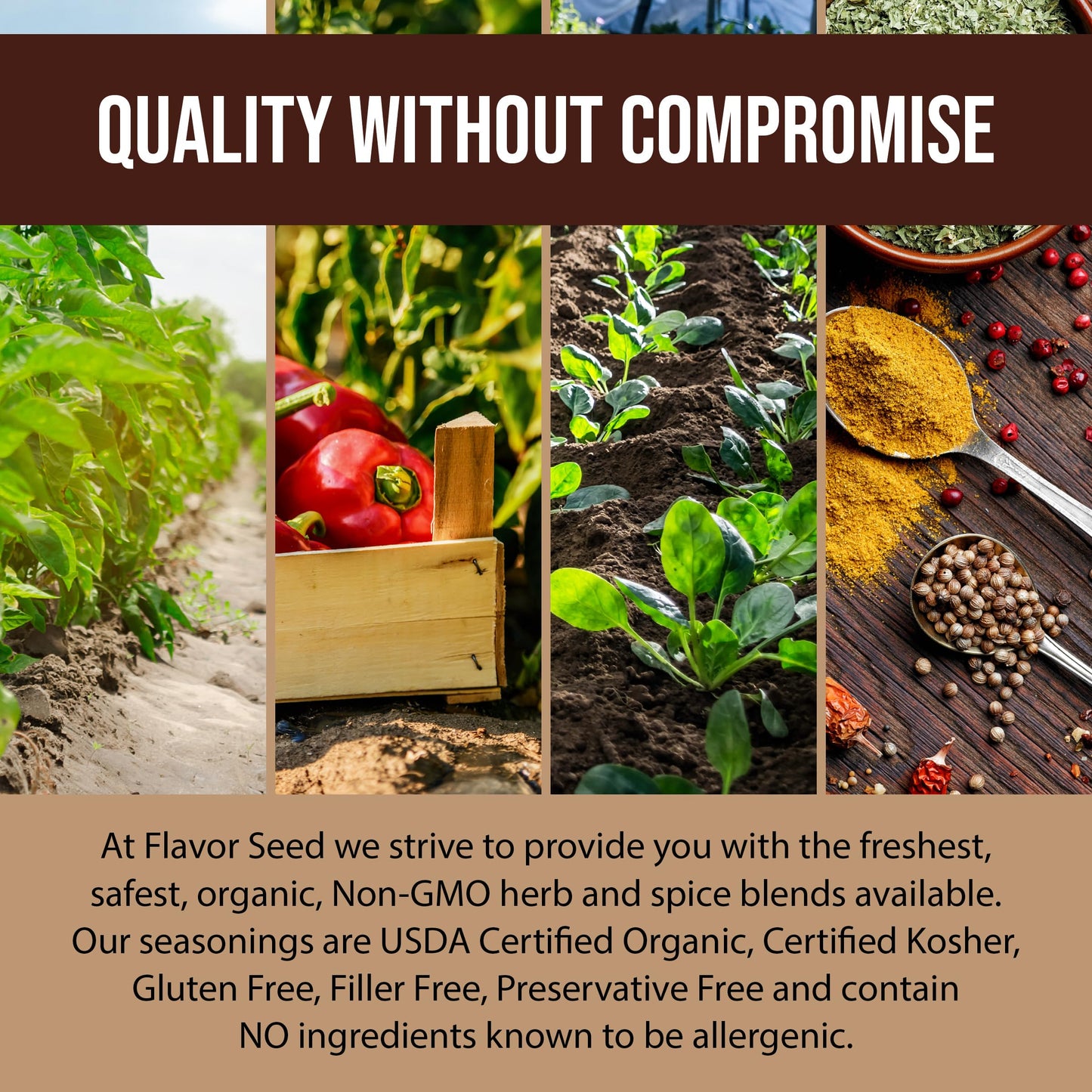 Flavor Seed Organic Butt Rub Seasoning & Chocolate Coffee Brisket Rub, 3.2 oz Shaker Jar, Non-GMO, Preservative Free