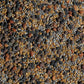 No-Till Solutions No-Till Cover Crop Seed Mix ½-lb Bag - 13-Seed Blend with Clovers, Fenugreek, Vetch, Cowpeas, and More