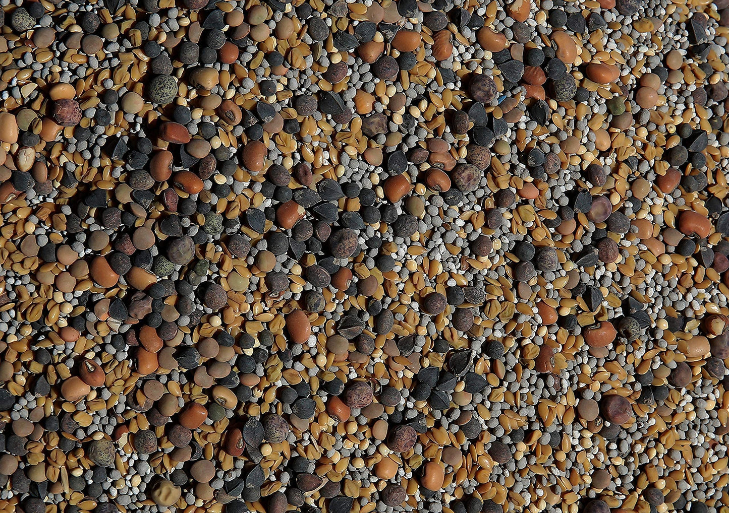 No-Till Solutions No-Till Cover Crop Seed Mix ½-lb Bag - 13-Seed Blend with Clovers, Fenugreek, Vetch, Cowpeas, and More