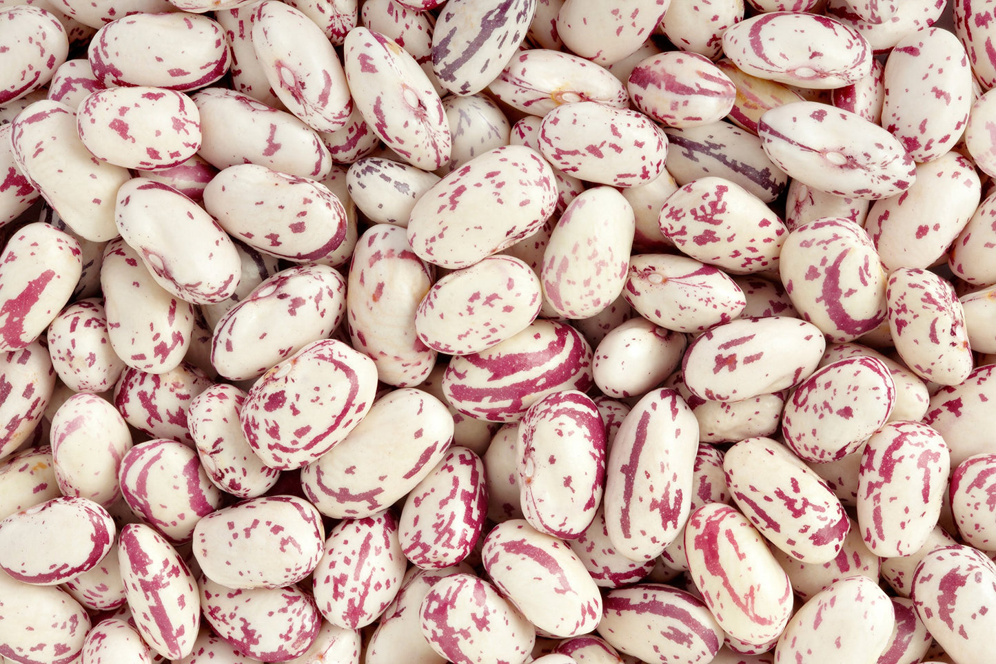 Hunza Organic Cranberry Beans (2 Lbs)