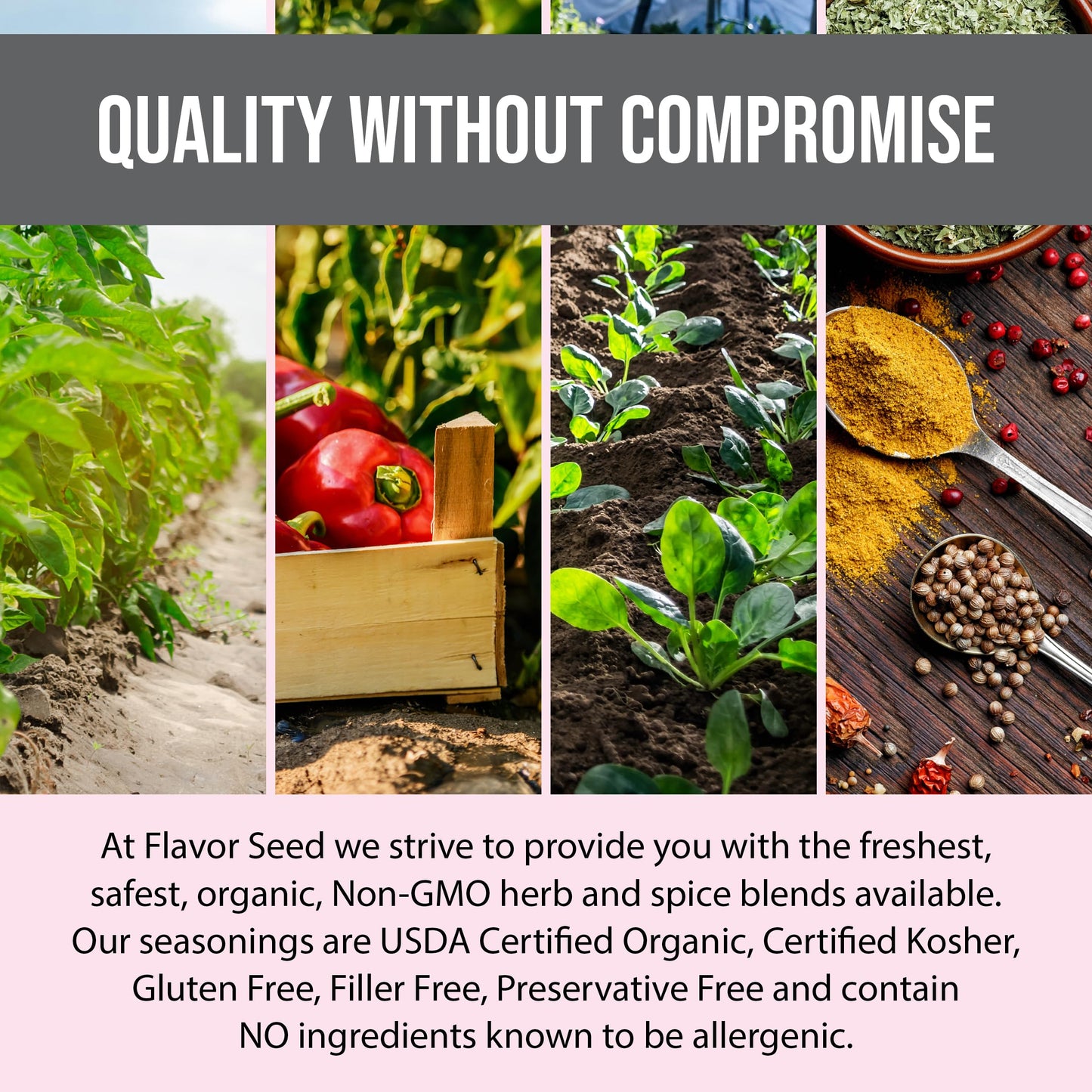 Flavor Seed Organic BBQ Rub, Sweet & Spicy Gluten Free Seasoning, 5 oz Resealable Pouch