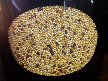 Organic Tri- Color Quinoa Four 12 oz bags (48 oz)