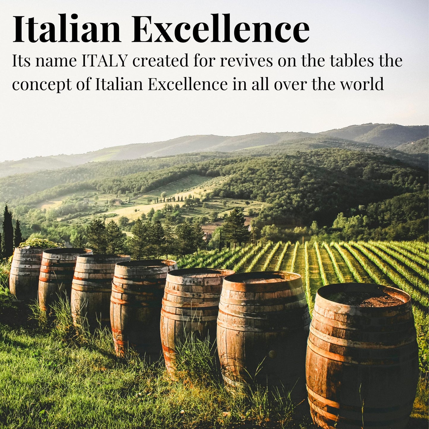FONDO MONTEBELLO Balsamic Vinegar of Modena IGP, Dense & Sweet-and-Sour, 8.45 fl. oz. (250ml)