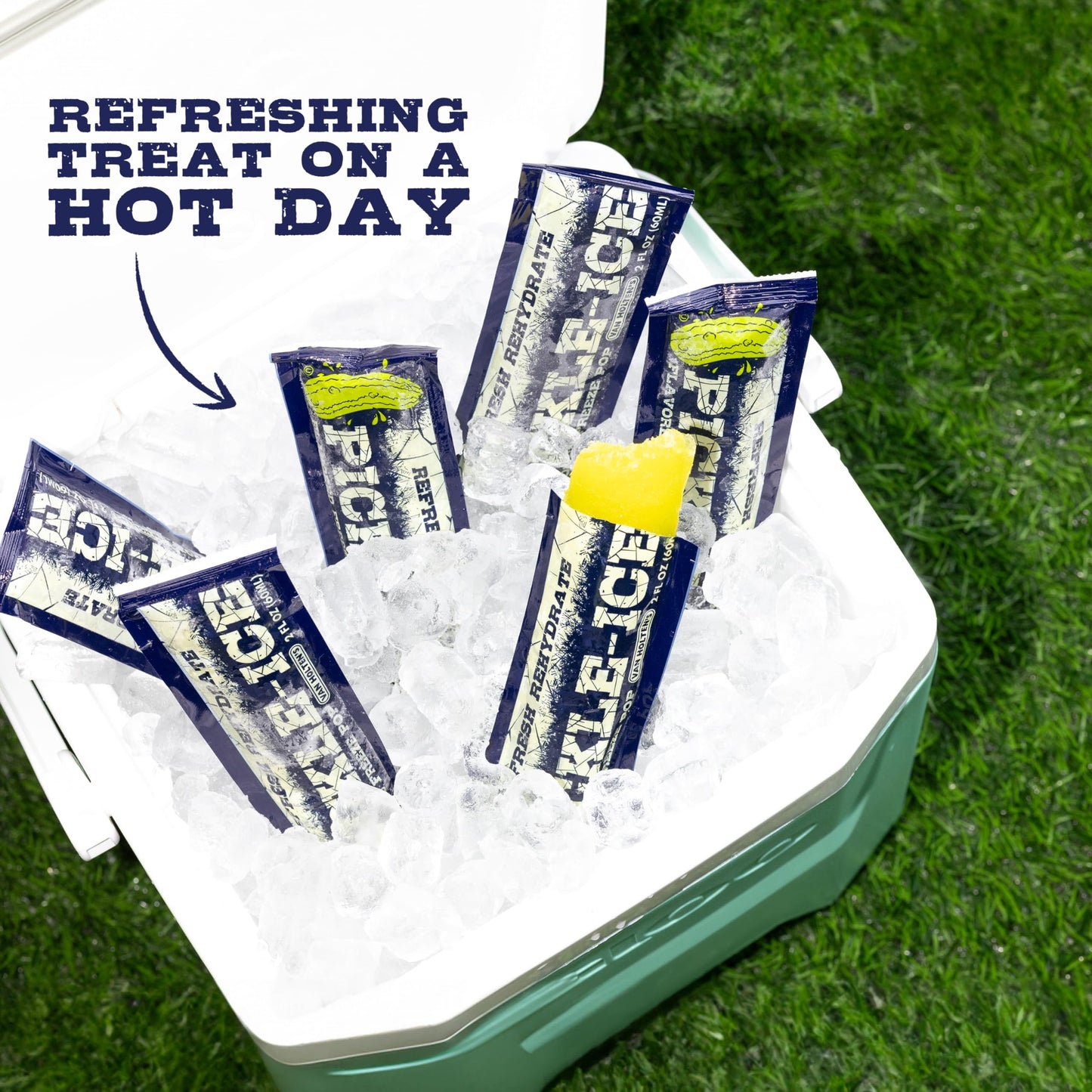 Van Holtens Pickles Pickle-Ice Freeze Pops - 8 Pack, 2 Ounce Each, Frozen