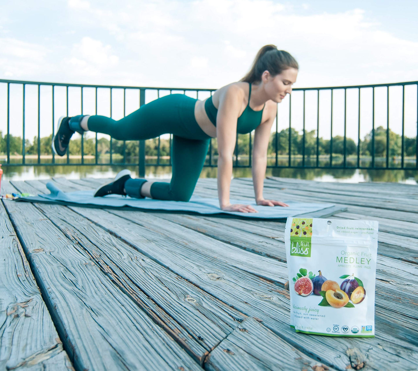 Fruit Bliss Dried Fruit Mix     Fruit Medley of Organic, Dried & Pitted Apricots, Plums & Figs - Organic Fruit Snacks, Dried Fru