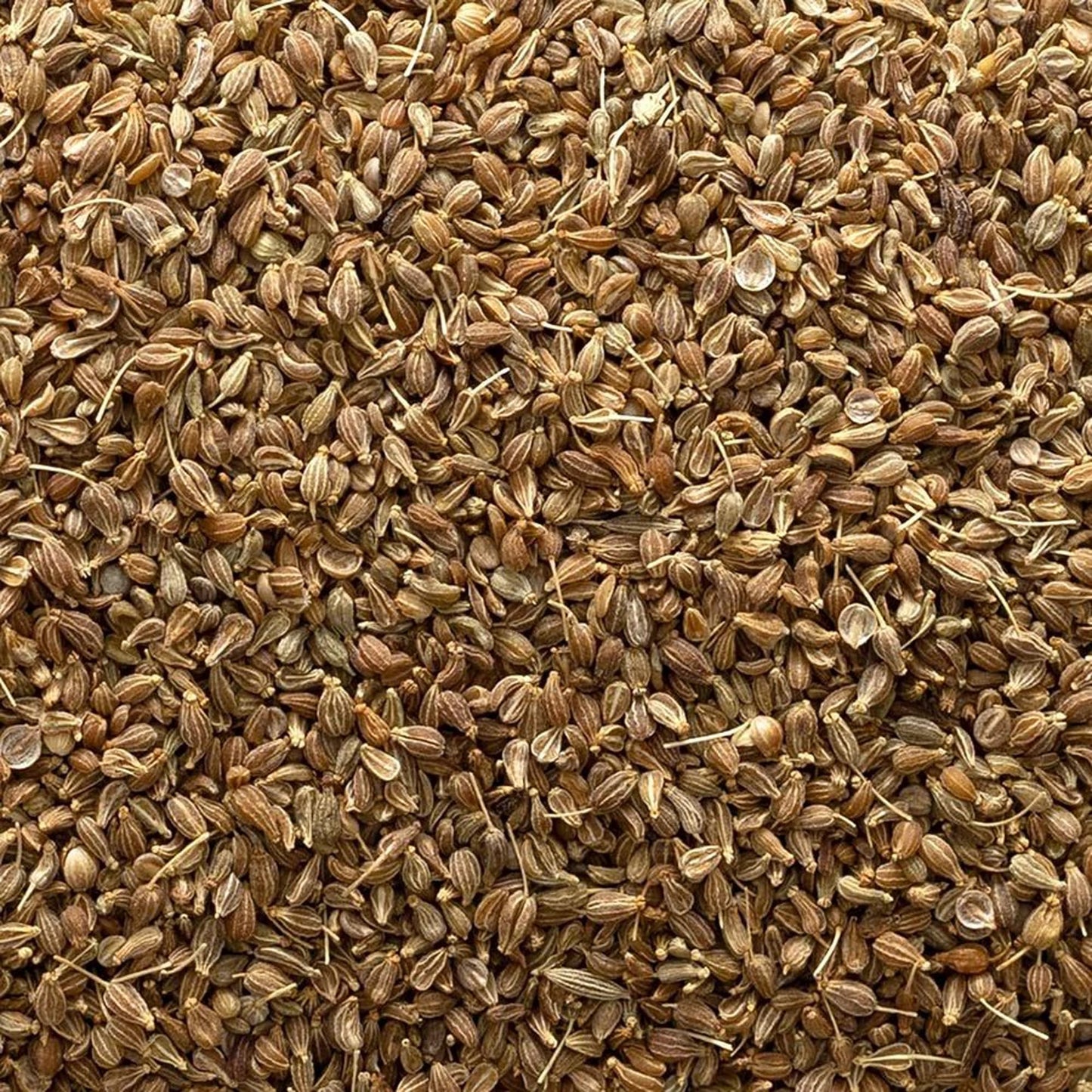 Frontier Co-Op Whole Anise Seed 1Lb